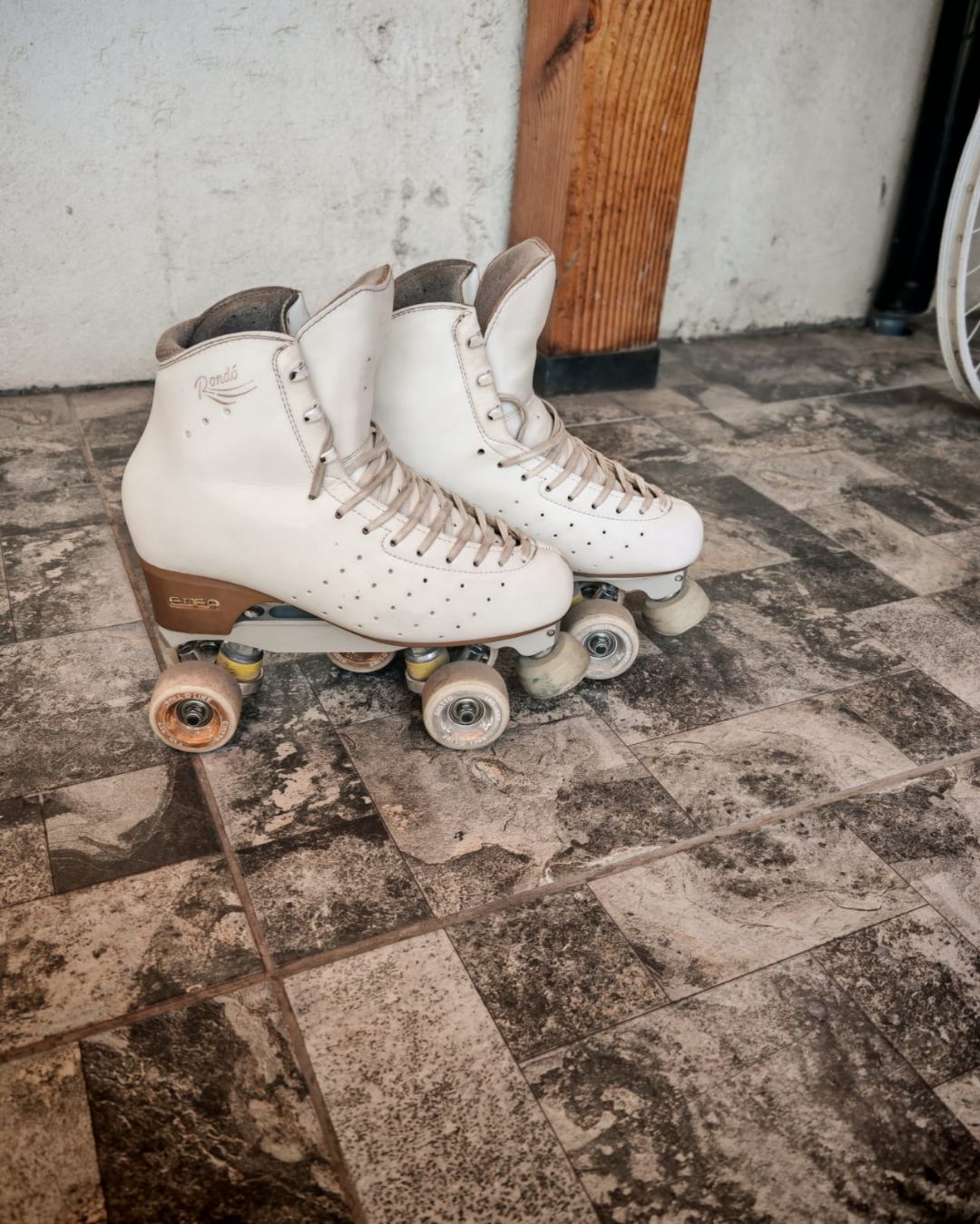 Patin Edea Rondo 275